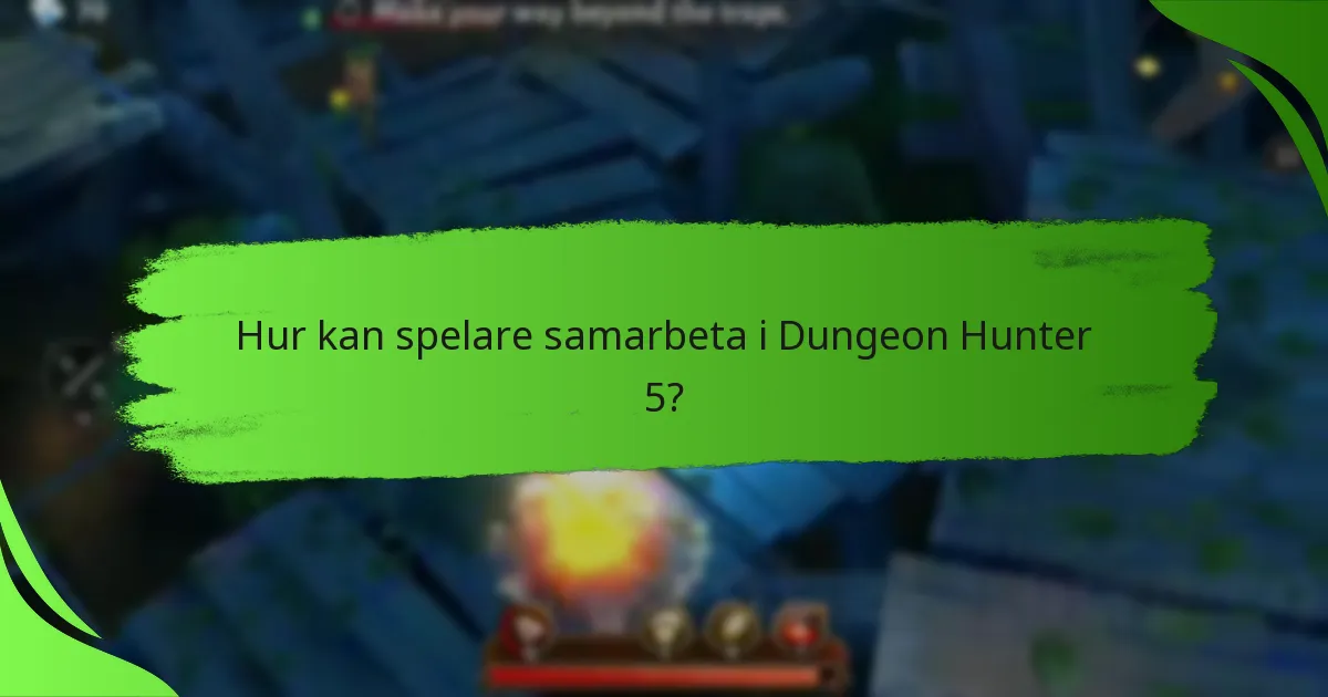 Hur kan spelare samarbeta i Dungeon Hunter 5?